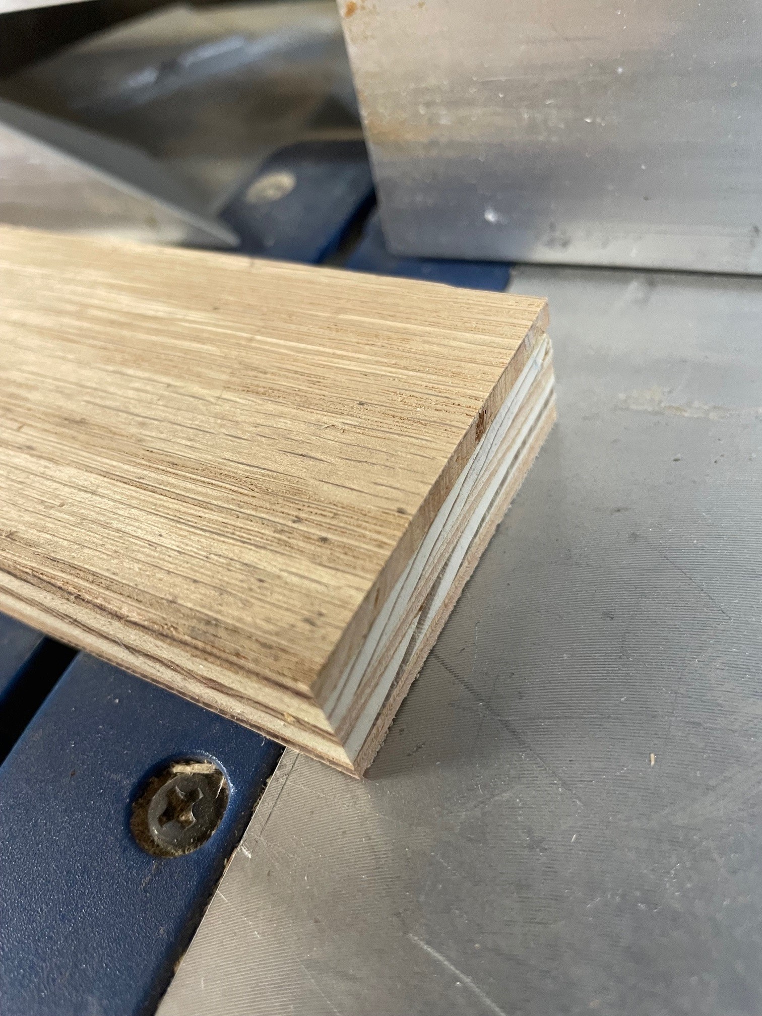 Plywood cut with Spyder blade