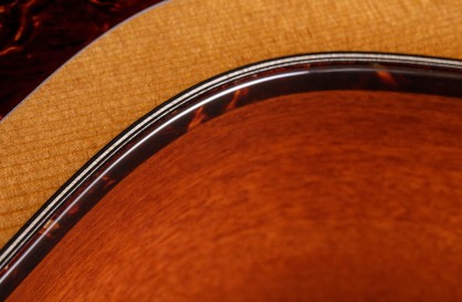 Taylor Urban Ironbark guitar detail