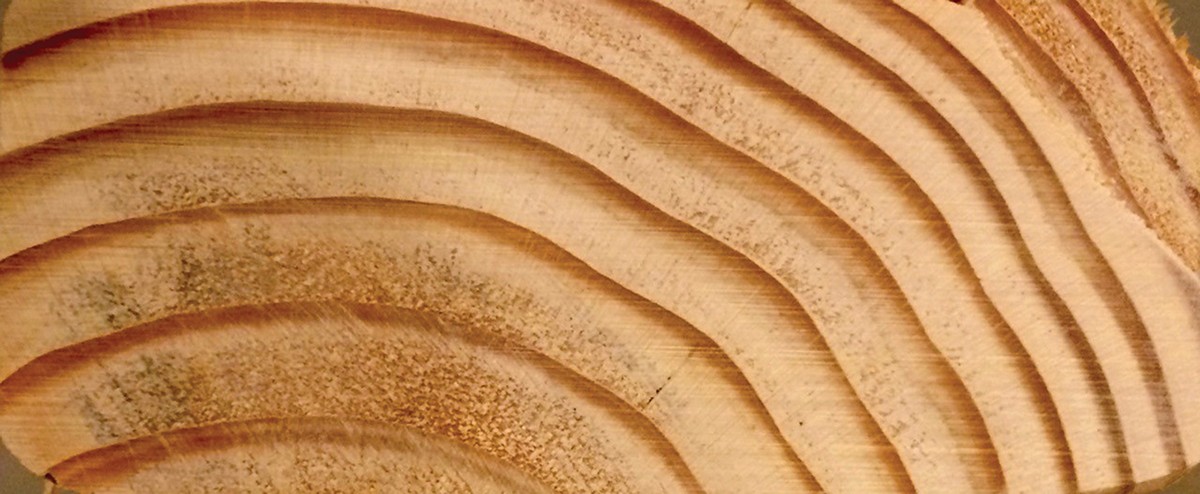 Grain rounds. Древесина 'Dr. Spiral Grain Wood. Wood Grain texture AEG. Wood Grain Series 8041.