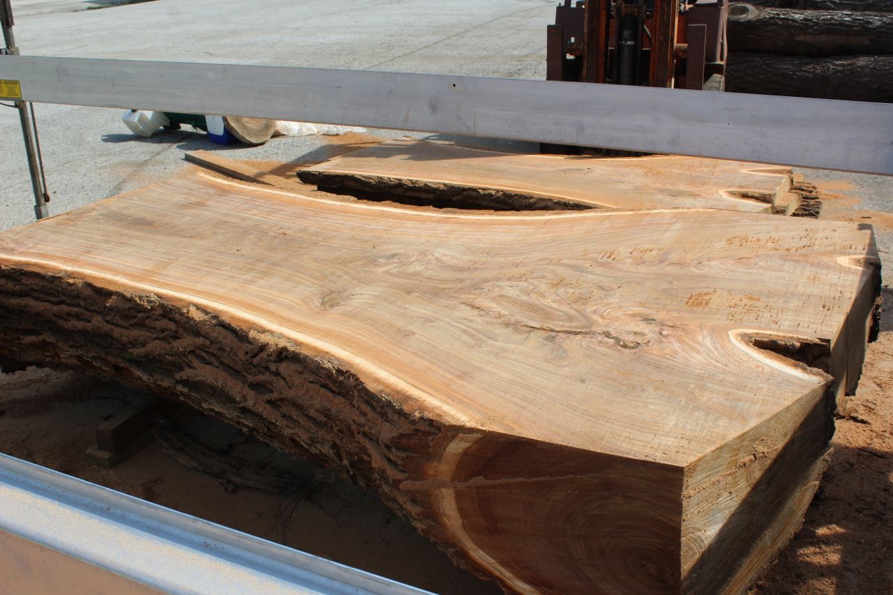 elm wood for woodworking