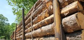 Lumber Trailer