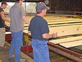 Reviving Timber Sales Boost Sawmill Hiring 