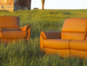 elran-furniture-field-stock.jpg
