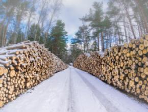 logging-winter.jpg