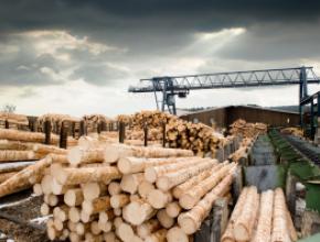 softwood-lumber.jpg