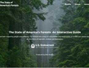 state-america-forests-website.jpg