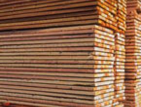 New Zealand Sees Boom in Timber Exports