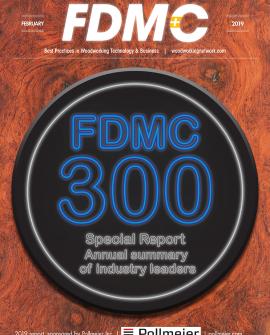 2019-fdmc300-report-cover.jpg