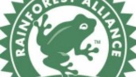 Rainforest-Alliance-Logo-145.jpg