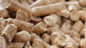 Wood Pellet Exports to Europe Continue to Rise