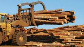 APEG-Lumber-mill.jpg
