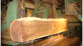 American-Walnut-BandSaw.png