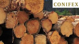 Conifex Timber-logo.jpg
