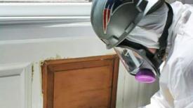 Lead-Paint-abatement-Pogue.jpg
