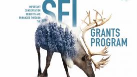 SFI-Grants-Program.jpg