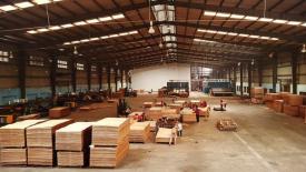 chinese-plywood-factory.jpg
