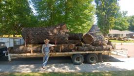 jim-evans-salvaging-urban-walnut-logs.jpg