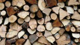 pulpwood-lumber-image-header.jpg