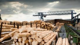 softwood-lumber.jpg