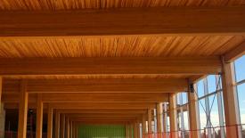 stock-mass-timber-building.jpg