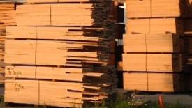 incoming-lumber-moisture.jpg