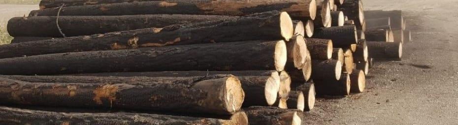 Sawmilling charred logs
