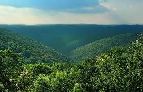 Pennsylvania Hardwood Forests