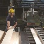 American-Lumber-Co-Yield-thumb.jpg American-Lumber-Co-Yield-thumb.jpg