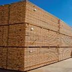 Hardwoods RedGrandis 145.jpg Hardwoods RedGrandis 145.jpg