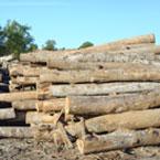 Lumber-145.jpg