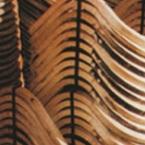 Sawyer hardwood 145.jpg Sawyer hardwood 145.jpg