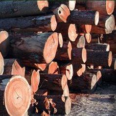 Hardwood Checkoff Proposal Moves Forward, with Controversy