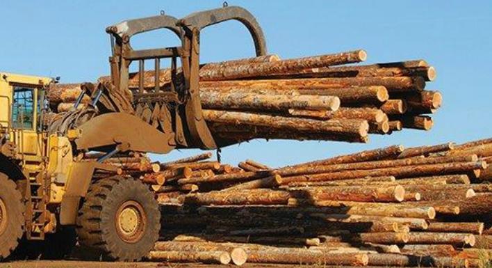 APEG-Lumber-mill_0.jpg