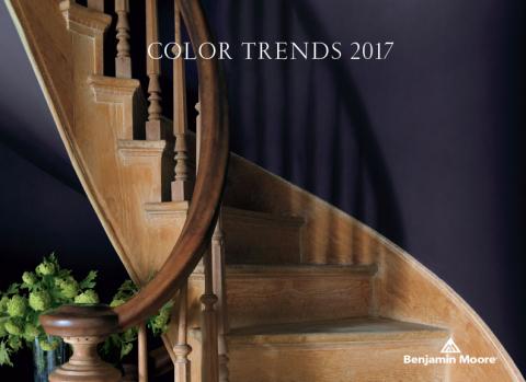 Benjamin-moore- 2017-Color_Trends_US.jpeg Benjamin Moore Shadow 2117-30, 2017 Color of the Year