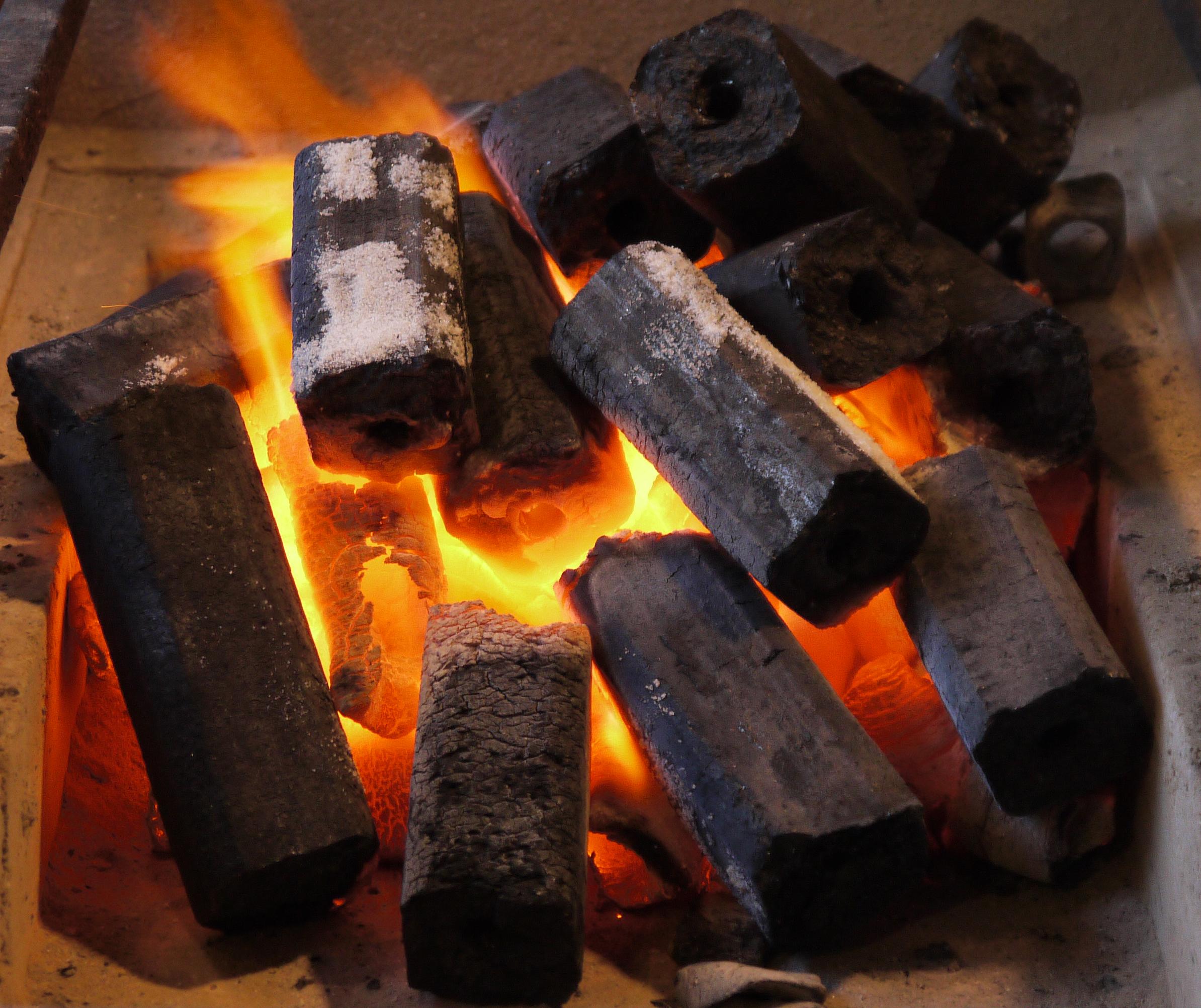 Ogatan-Japanese-Sawdust-Briquette.jpg