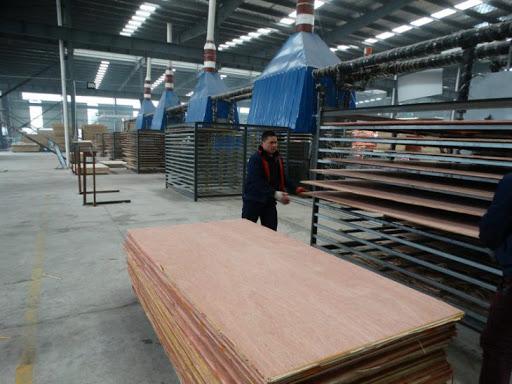 chinese-plywood-mill.jpg