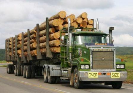 logging truck(2).jpg