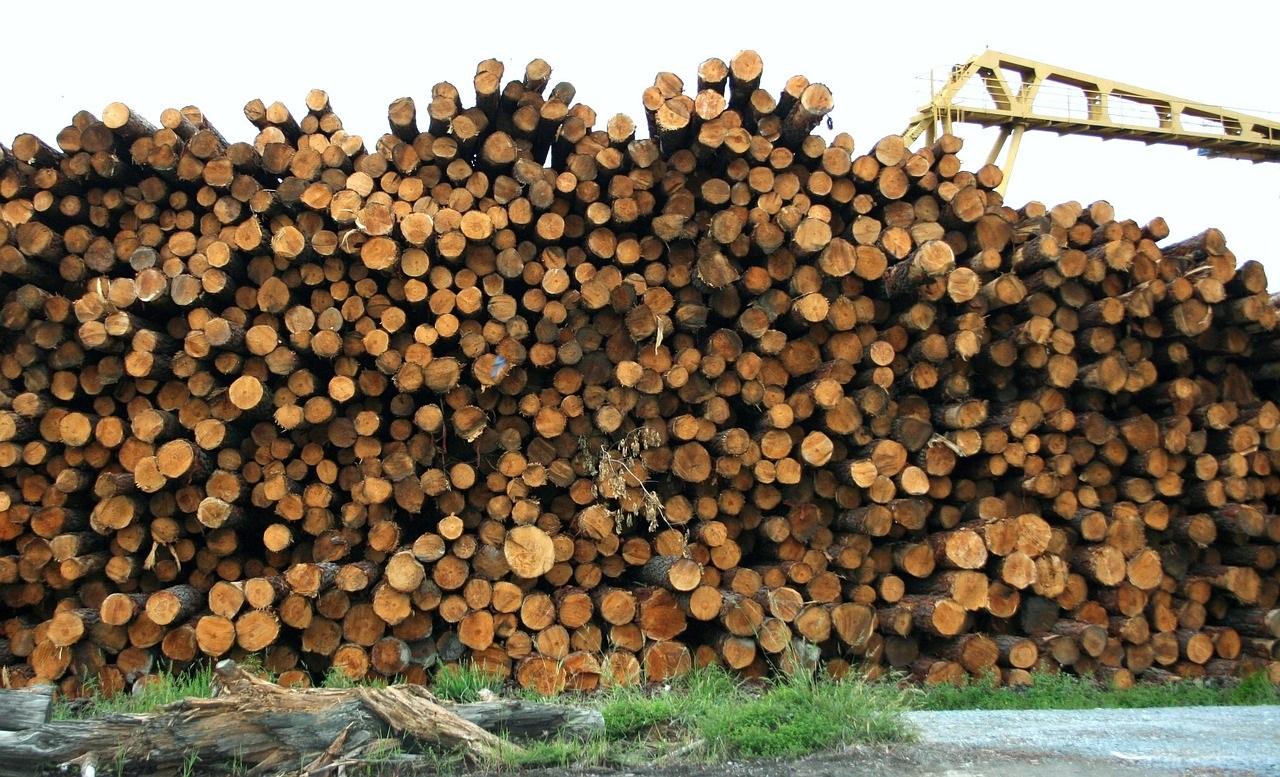 lumber-logs.jpg