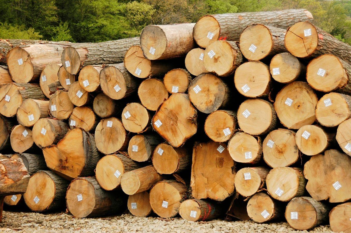 northwest-hardwoods-logs.jpg
