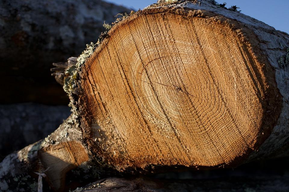 stock-hardwood-oak.jpg