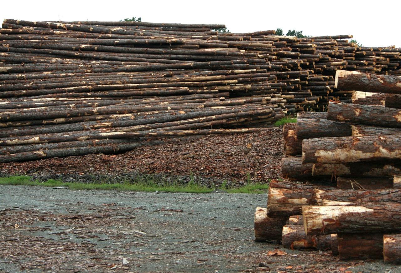 stock-lumber-logs.jpg