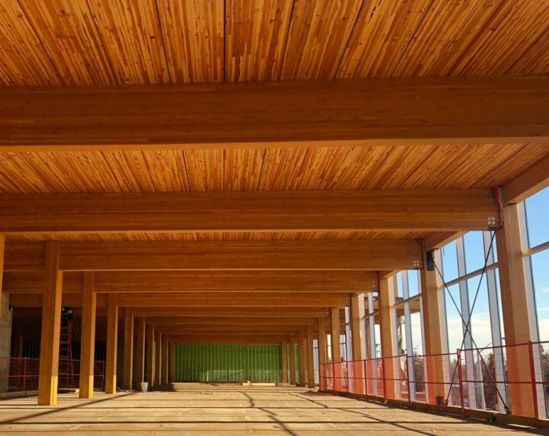 stock-mass-timber-building.jpg