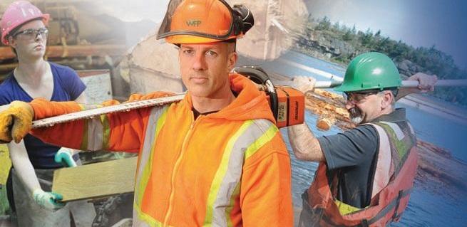 usw-wood-council.jpg usw-wood-council.jpg