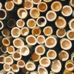 hardwood-specialty145.jpg hardwood-specialty145.jpg
