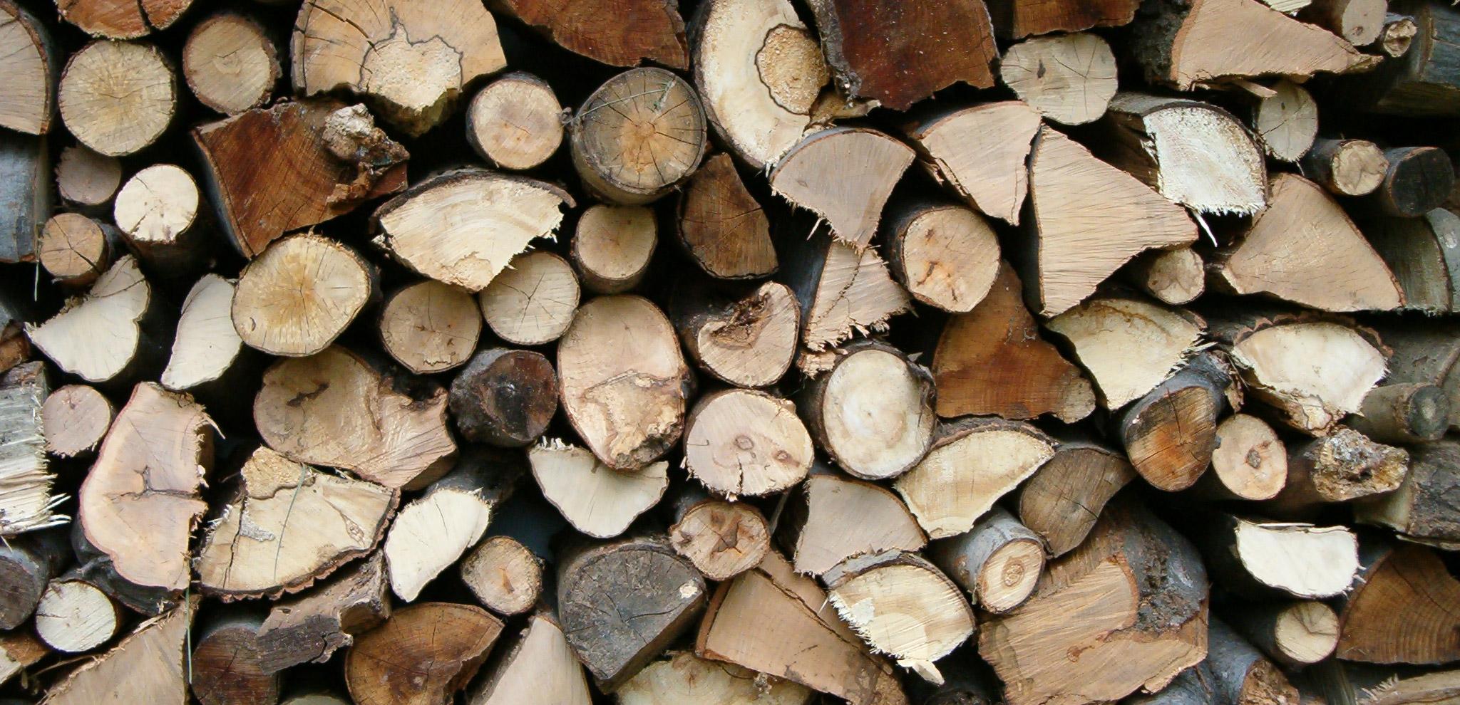 pulpwood-lumber-image-header.jpg
