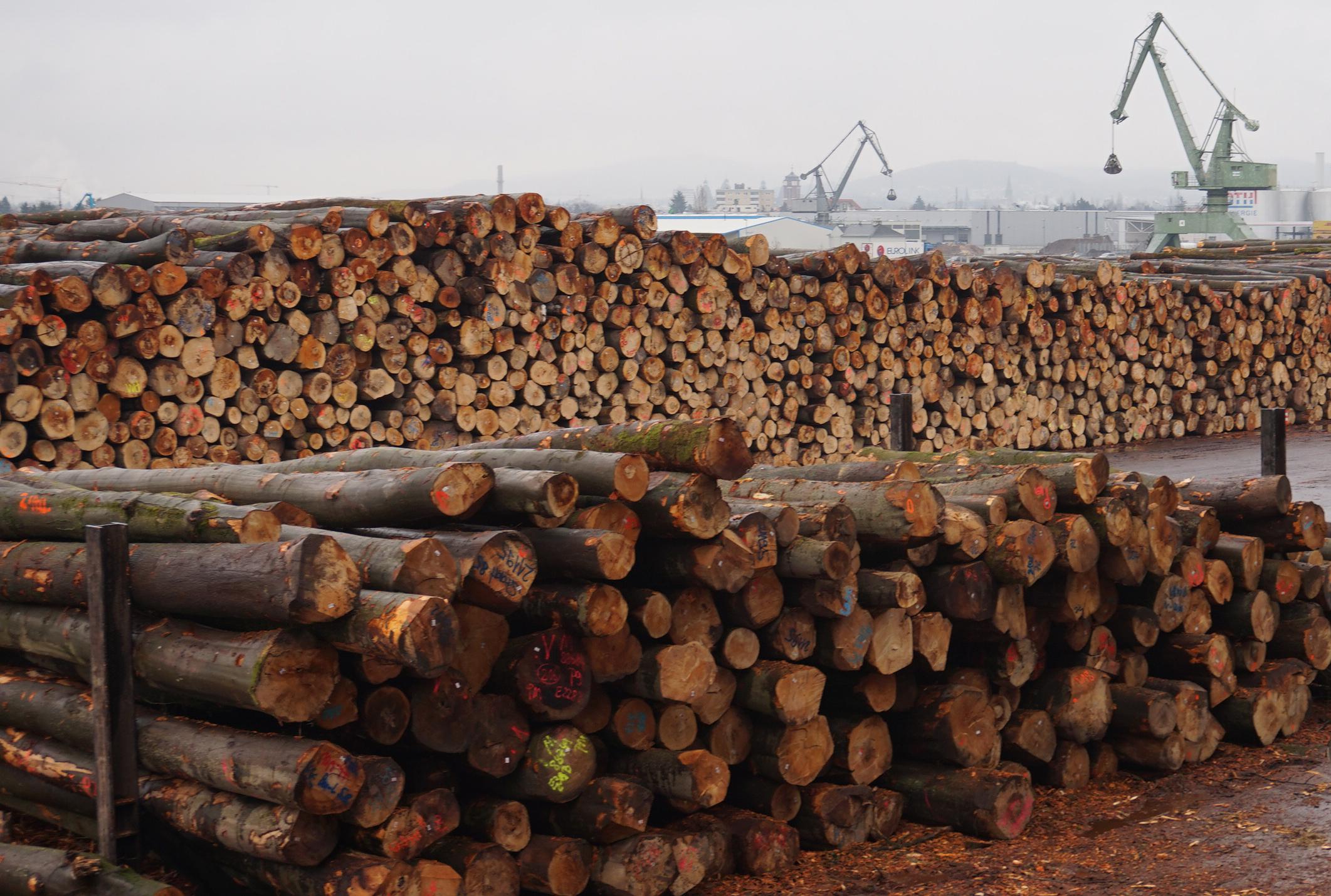 U.S., Europe, Asia lumber production climbs, Canada hits low point | Woodworking Network